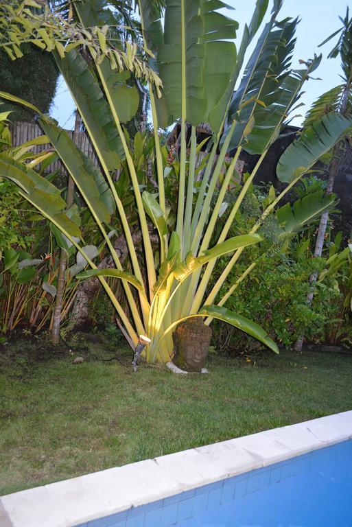 Villa Raquel Seminyak Szoba fotó